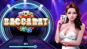 74bet8